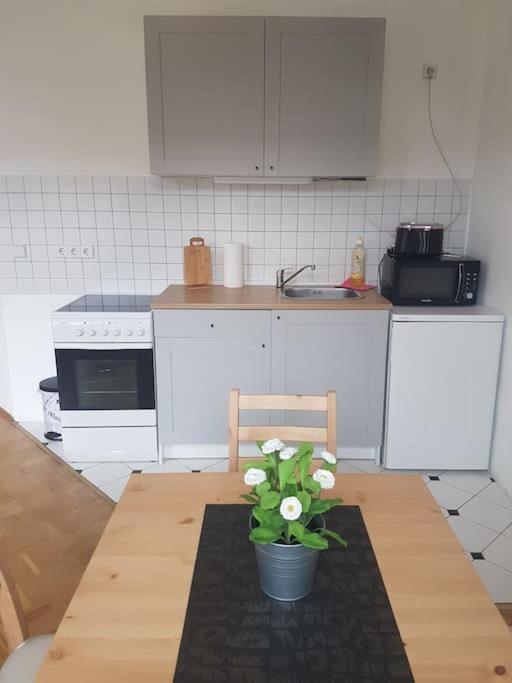 Studio In Dresden Neustadt Louisenstrasse Ngoại thất bức ảnh